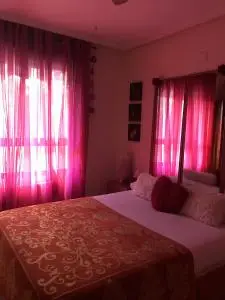 Alquiler en Alicante: Habitación de lujo para compañera profesional