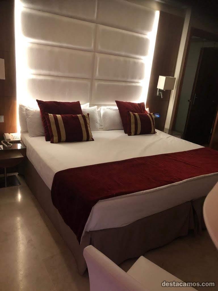 623405006: PLAZAS LIBRE, TENERIFE SUR, CHAFIRAS