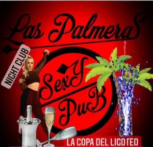 Plazas en Ciudad Real: LAS PALMERAS - la co pa del ligoteo - pzas LIBRES