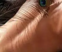 613572563: Terapeuta en Las Palmas