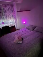 613106609: Habitación en Murcia