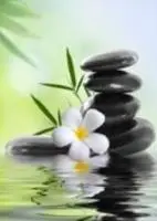 663631723: Masajista no sexual en Las Palmas